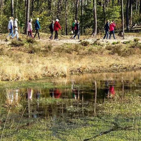 別荘 Villa In Brabant With Spa And Sauna