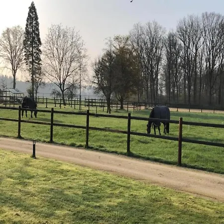 In Brabant With And Sauna Tatil Evi *