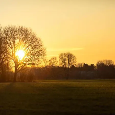 Villa In Brabant With Spa And Sauna オイルスコート