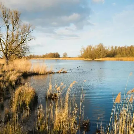 In Brabant With And Sauna *