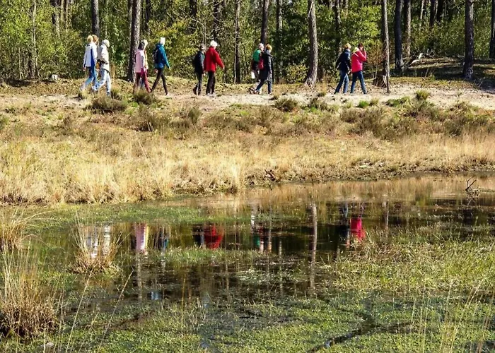 Σπίτι διακοπών In Brabant With And Sauna