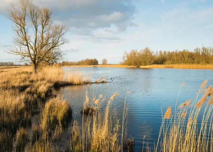 In Brabant With And Sauna *