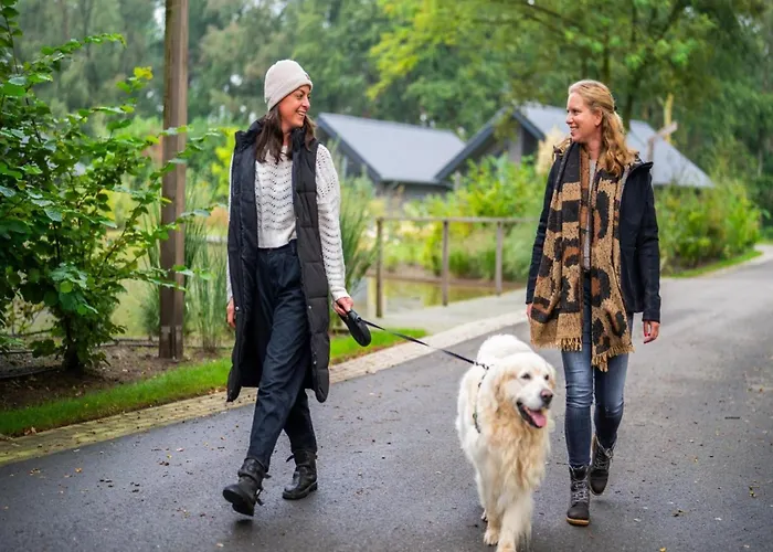 Σπίτι διακοπών In Brabant With And Sauna